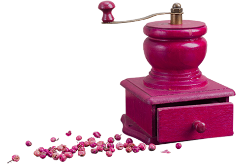 Peppersinn Werbeagentur Webagentur Webdesign Grafik SocialMedia SEO Wien Pfeffermuehle